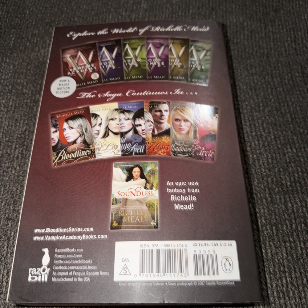 Vampire Academy by Richelle Mead - Paperback 2007 Box B - Picture 2 of 2
